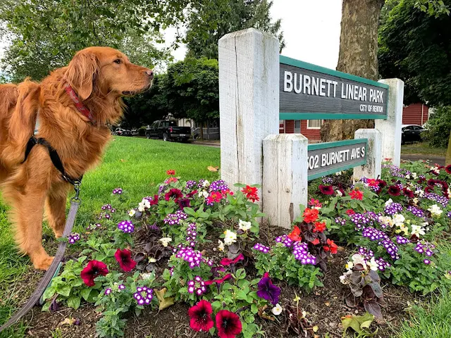 Dog Park Burnett Linear Park Renton