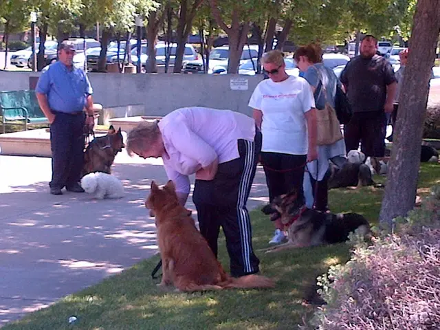 Dog trainer American Canine Institute Richmond