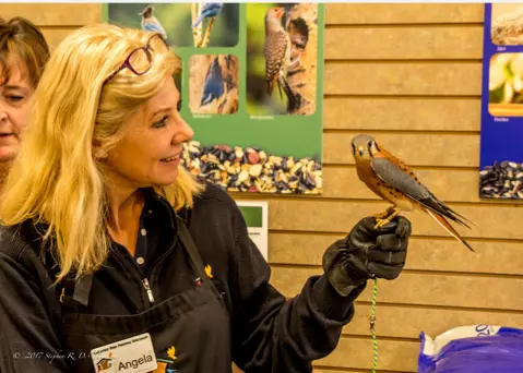 Dog trainer Wild Birds Unlimited Roseville