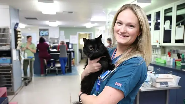 Pet boarding service BluePearl Pet Hospital Tacoma