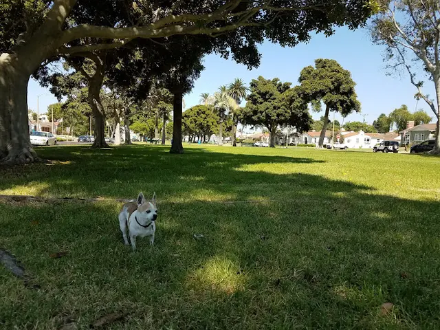 Dog Park El Prado Park Carson