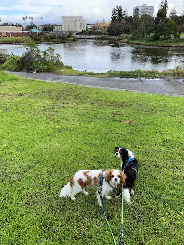 Dog Park Channel Park Oakland