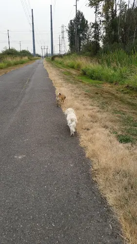 Dog breeder Washington Thoroughbred Breeders Federal Way
