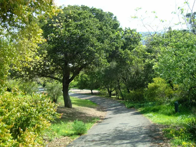 Dog Park William D. Wood Park Oakland