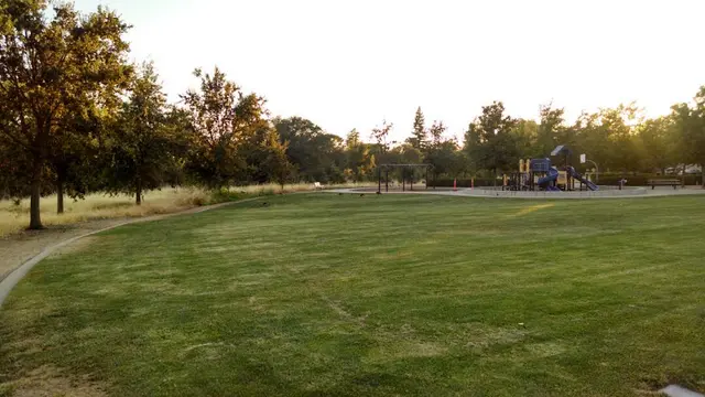 Dog Park William L. Taylor Park Roseville