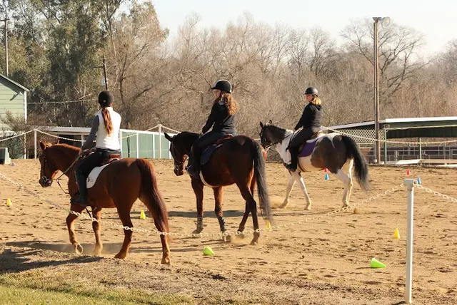 Dog trainer CBC Therapeutic Horseback Riding Academy LLC Elk Grove