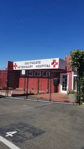 Dog day care center Southgate Veterinary Hospital Sacramento