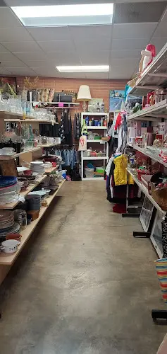 Dog day care center Foster Army Animal Rescue & Pet Rescue Thrift Store Riverside