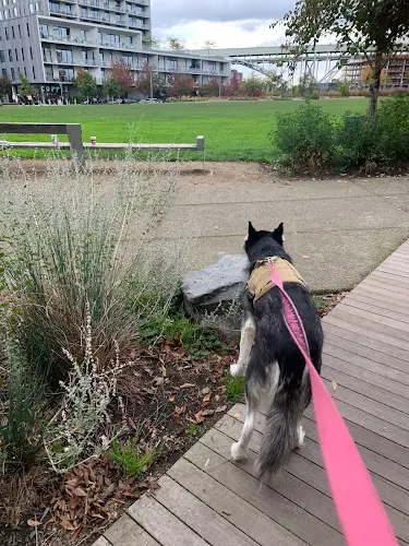 Dog Park The Fields Park Gresham