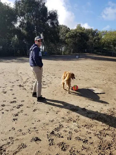 Dog Park Doyle Dog Park San Diego