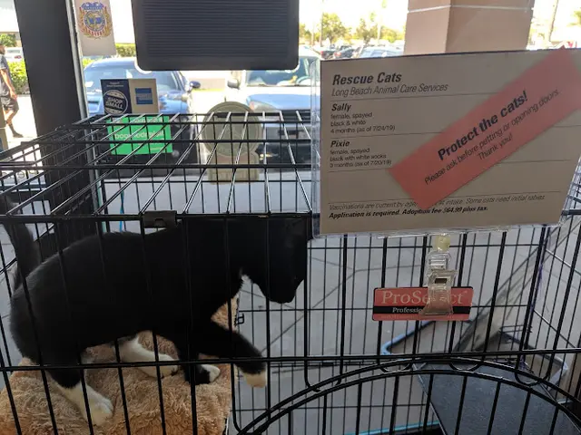 Pet vet Paw Shoppe Pet Center Long Beach