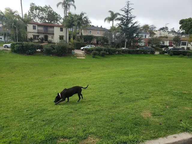 Dog Park Plumosa Park San Diego