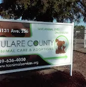 Rescue & Shelter Tulare County Animal Services Visalia