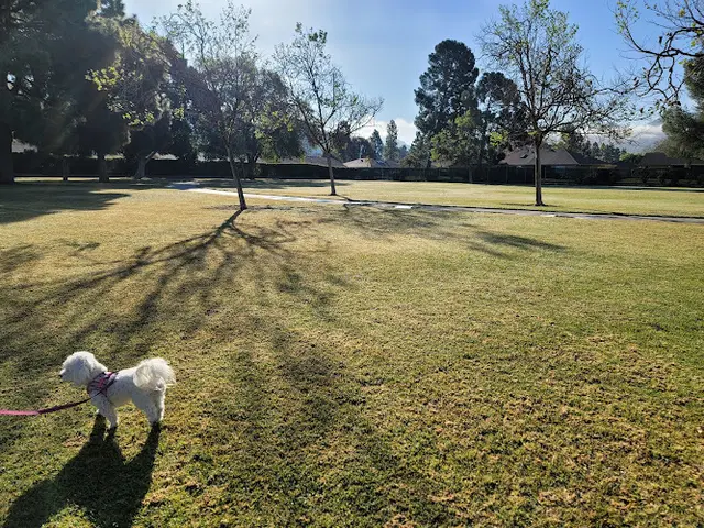 Dog Park Encanto Park Ventura