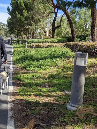 Dog Park West Irvine Trail Irvine