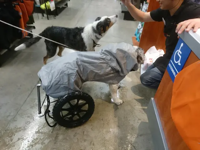 Rescue & Shelter Pet Food Express Richmond