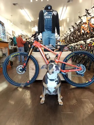 Dog trainer Mike's Bikes of Roseville Roseville