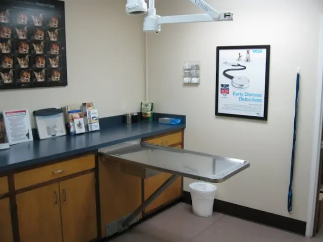 Dog day care center VCA Bayshore Animal Hospital San Mateo