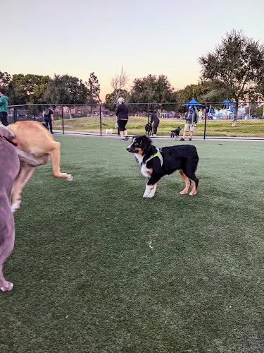 Dog Park Glen Alla Dog Park Inglewood