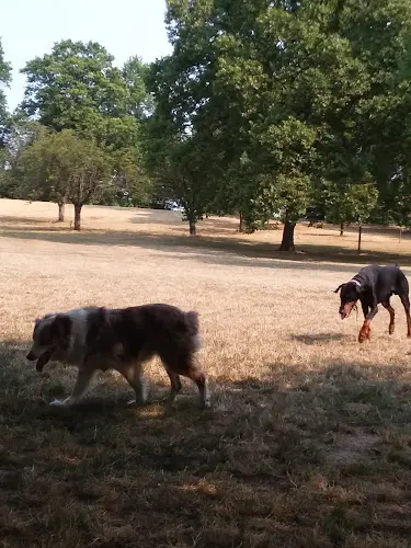 Dog Park Lents Dog Park Gresham