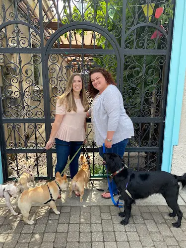 Pet vet Paws of Pleasanton Animal Hospital Livermore