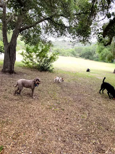 Dog Park Toro Canyon Park Santa Barbara
