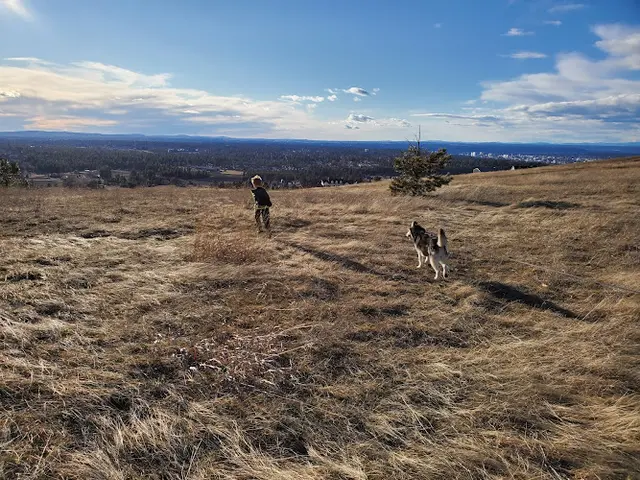 Dog Park Glenrose Trailhead Spokane