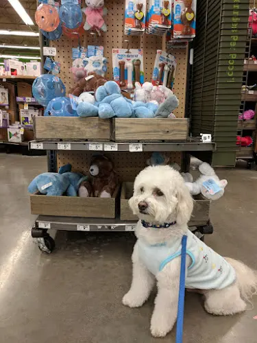 Pet vet Petco Fresno