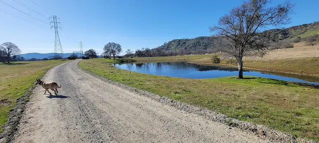 Dog Park Wellbarn Road Trail Clovis