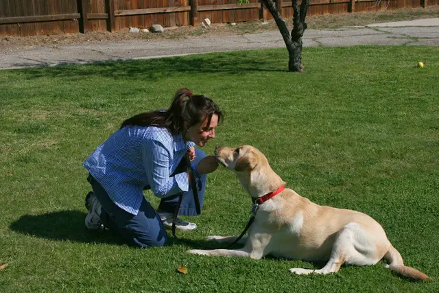 Dog trainer Dog Genie Norwalk