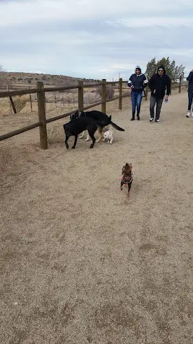 Dog walker Tejon Park Palmdale