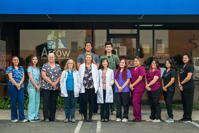 Pet boarding service Arrow Dog And Cat Hospital Ontario