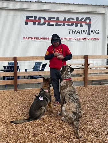 Dog trainer Fidelis K9 Training Sacramento