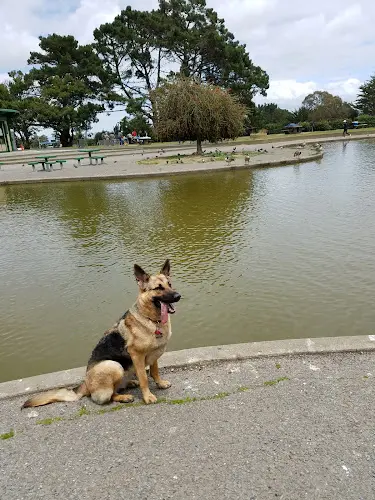 Dog Park Louis Sutter Playground Daly City