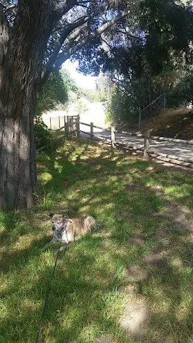Dog Park Lassen Open Space Santa Barbara