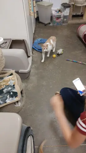 Rescue & Shelter PetSmart El Cajon