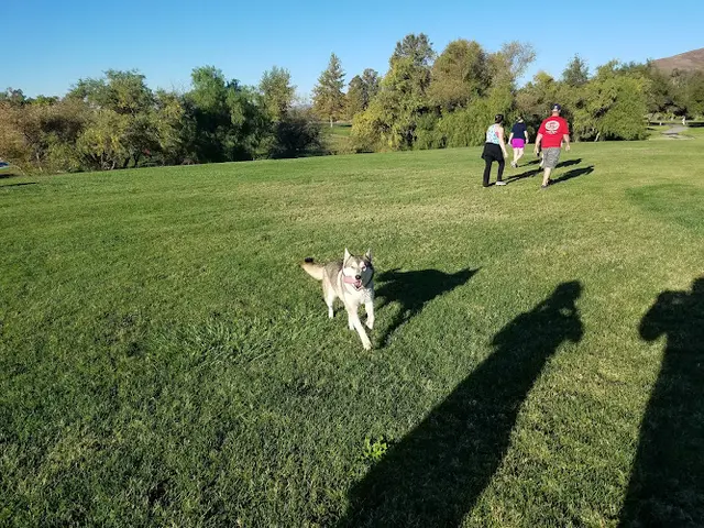 Dog Park Lake Skinner Recreation Area Temecula