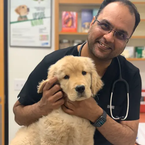 Pet boarding service Curtner Pet Clinic & Hospital San Jose