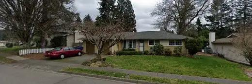 Dog day care center 4 Your Pets Renton