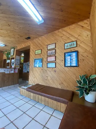 Pet vet Angeles Vista Pet Medical Center Los Angeles