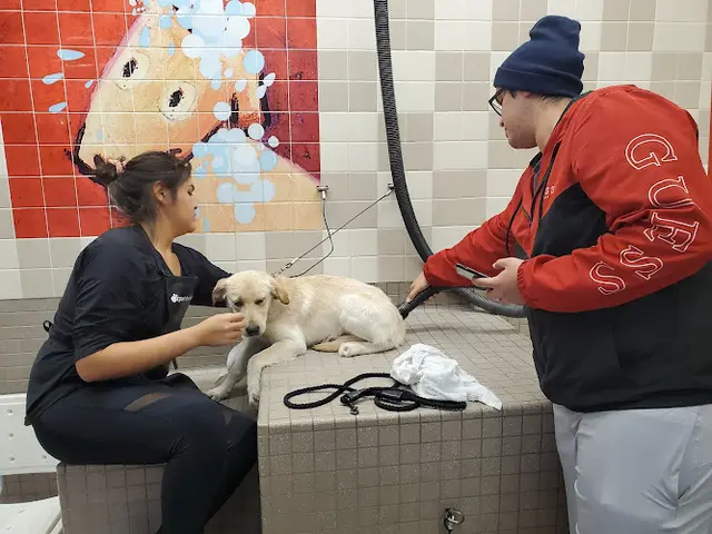 Rescue & Shelter Pet Food Express Oxnard