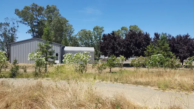Dog trainer O'Brien Boarding & Training Kennel Elk Grove