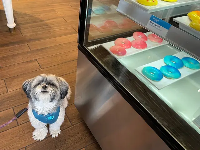 Pet boarding service Woofpak Pet Kitchen Irvine