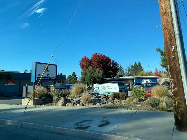 Dog day care center Central Animal Hospital Santa Clara