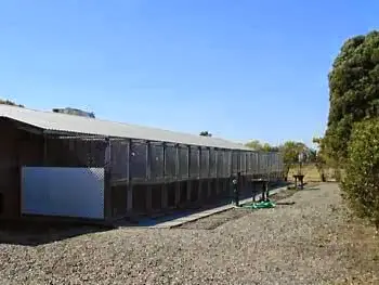 Dog day care center Happy Paws Kennels, Inc. Sacramento