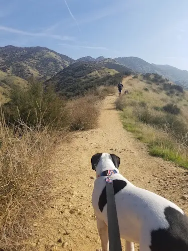 Dog Park Chumash Park and Trail Simi Valley