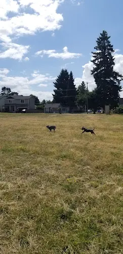 Dog Park San Lot Portland