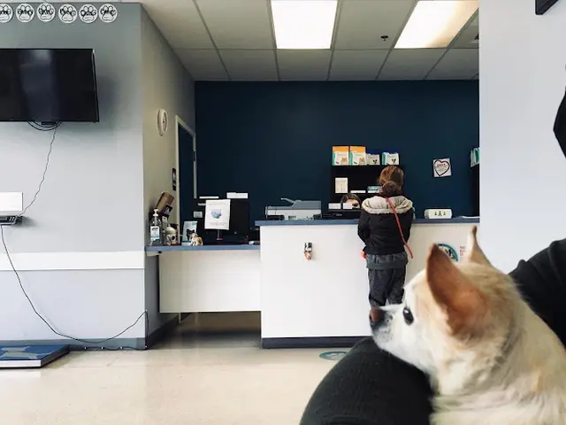 Pet vet Value Pet Clinic Kent