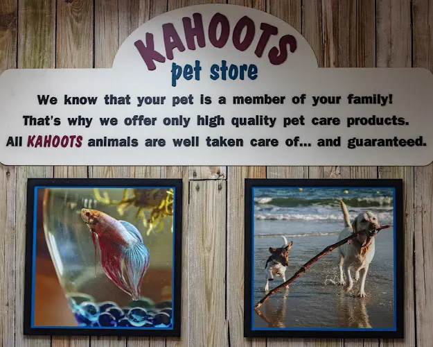 Rescue & Shelter Kahoots El Cajon