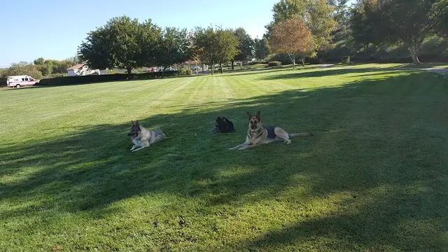 Dog Park Redhawk Community Park Temecula
